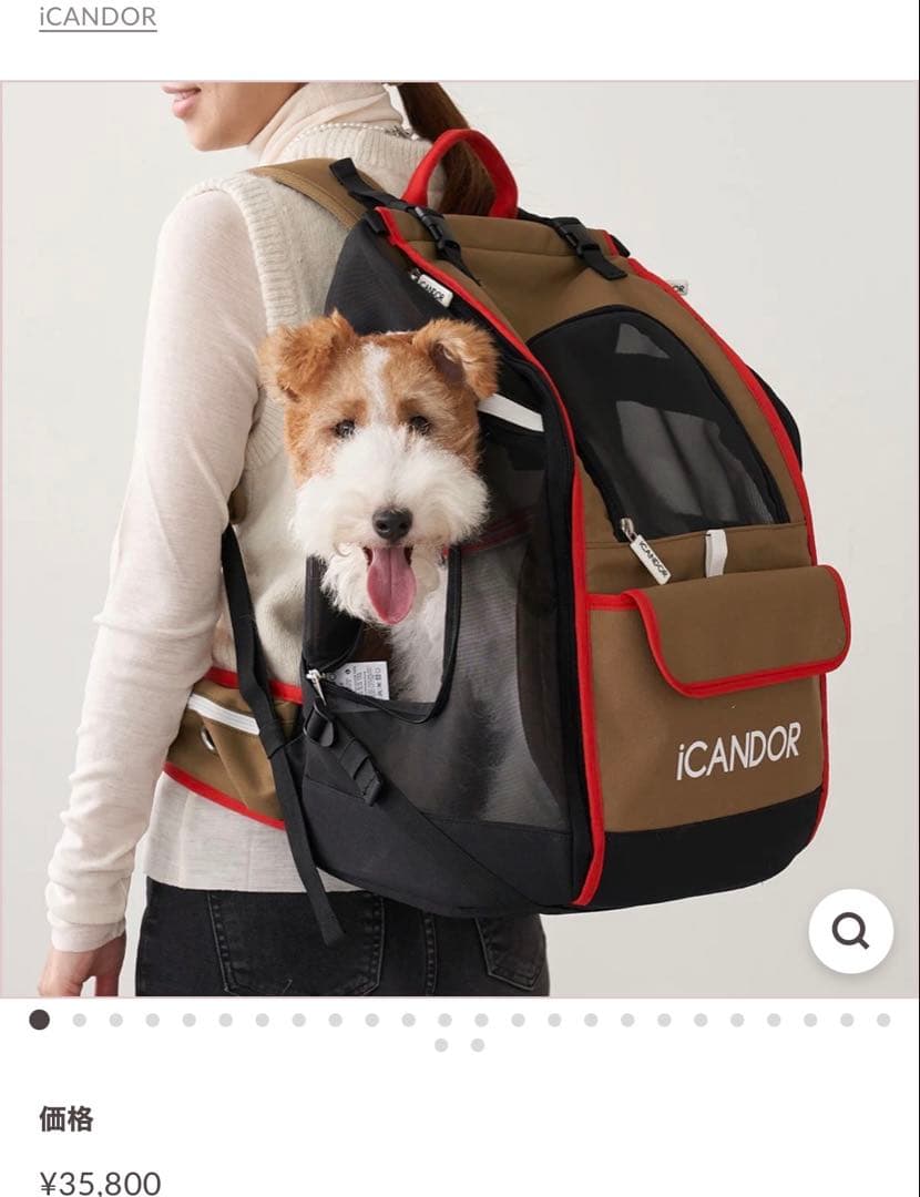 ICANDOR キャリーバッグ キャリーリュック