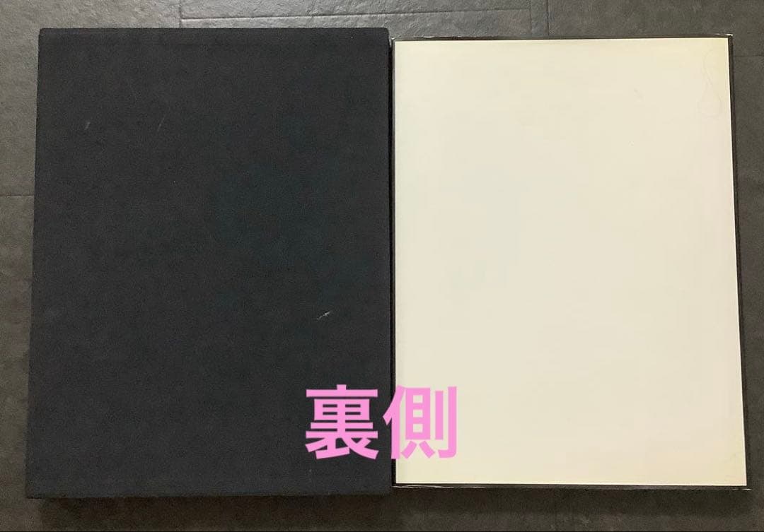 【レア】 セルジュ・ルタンス 写真集 1998年 絶版 箱入り