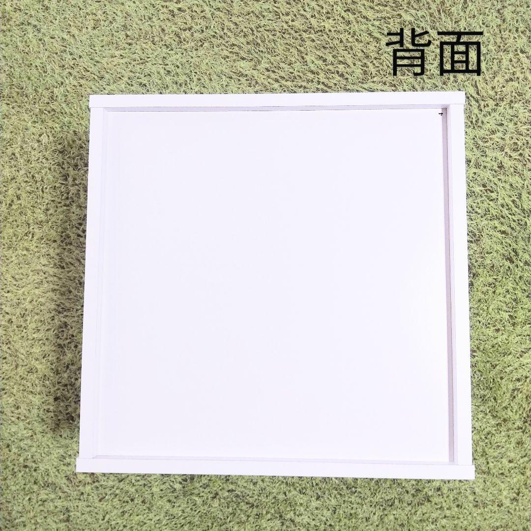 コレクションケース　扉付き　キューブボックスα　ハーフ　CUBE BOX α