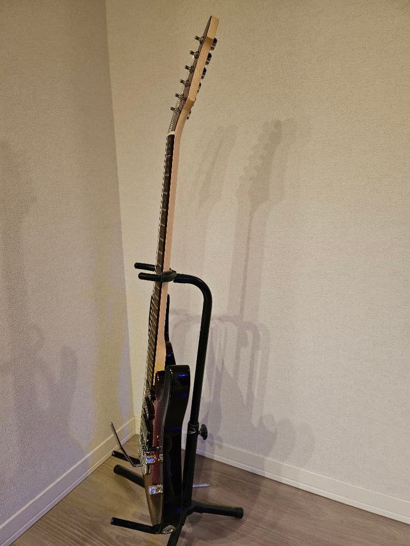 新品同様 Aria Pro II アリアプロ2 MACシリーズ おまけ付き