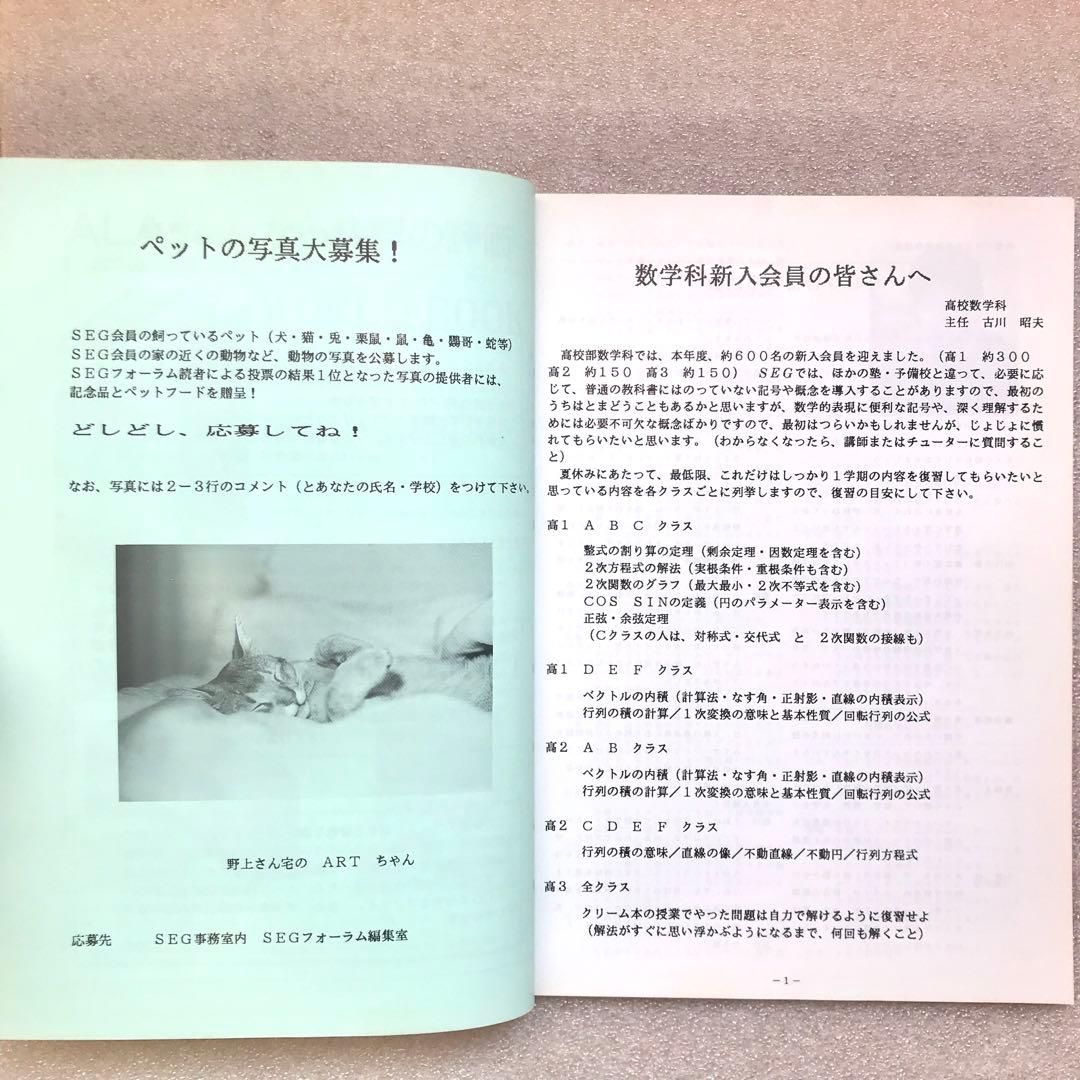 【不定期値下げ中】【超入手困難】SEG FORUM No.9　古川昭夫,雲幸一郎