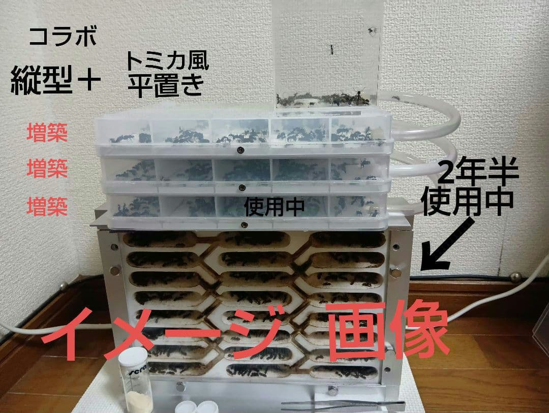 アリ飼育ケース　石膏巣 特大