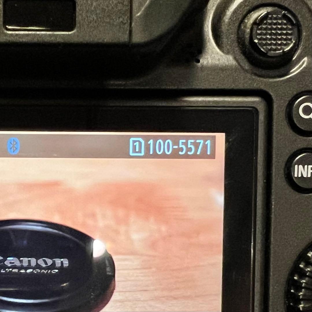 【ショット数5600回未満】Canon R6 美品｜子供撮影のみ