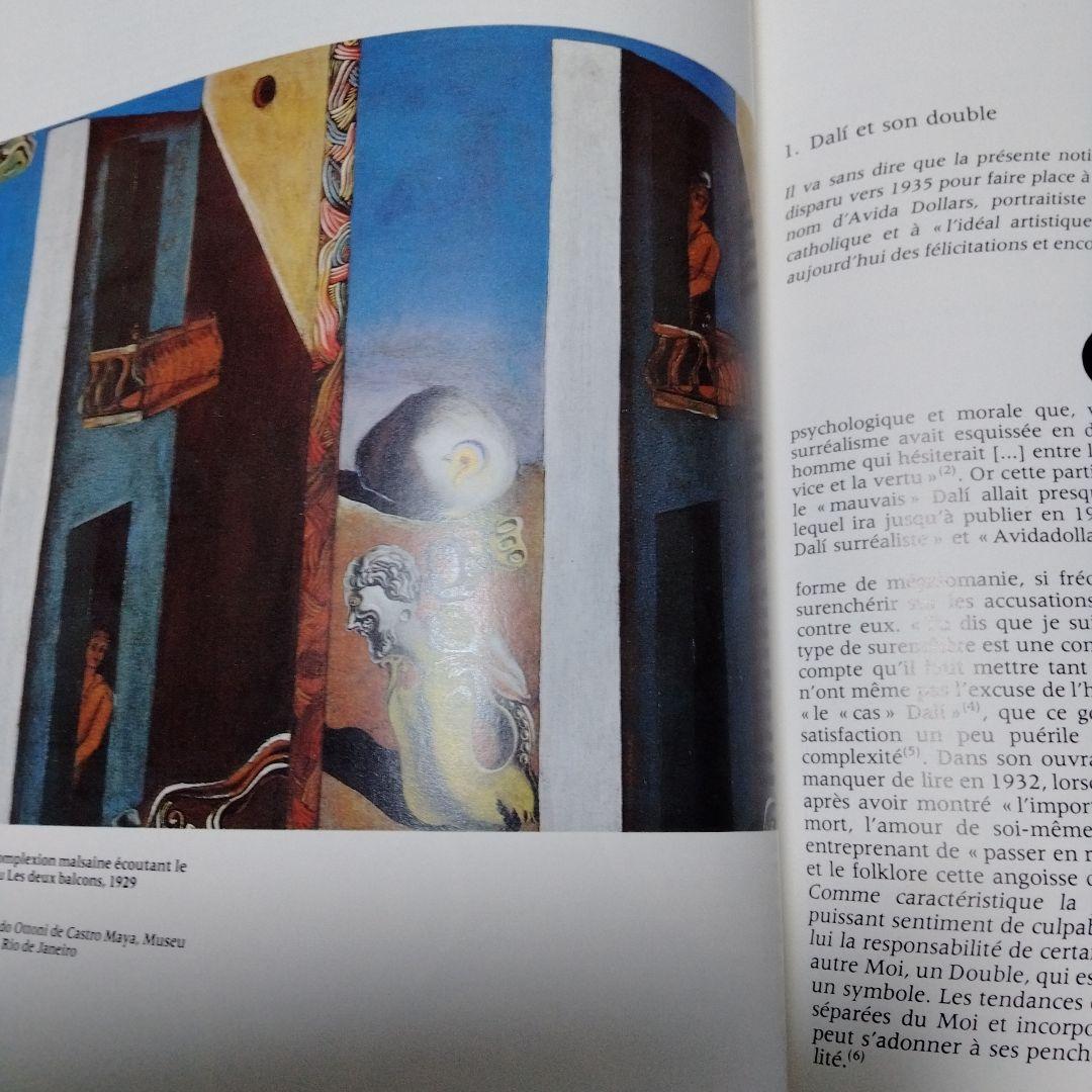 ダリ回顧展 図録 1980年 ポンピドーセンター 近代美術館 大型本 布装