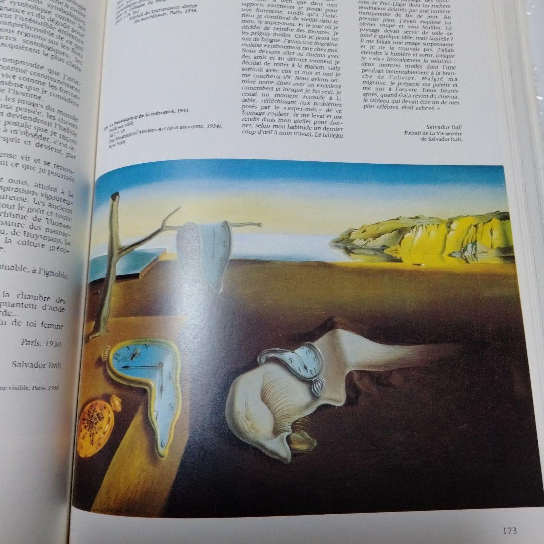 ダリ回顧展 図録 1980年 ポンピドーセンター 近代美術館 大型本 布装
