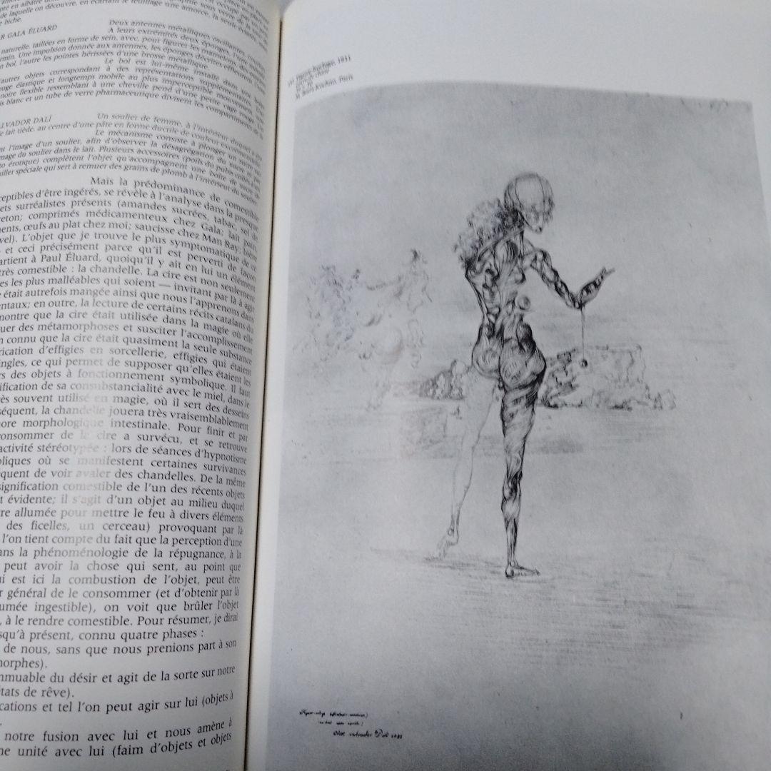 ダリ回顧展 図録 1980年 ポンピドーセンター 近代美術館 大型本 布装