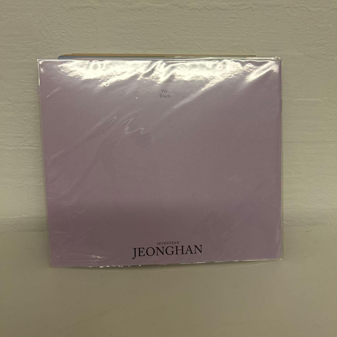 SEVENTEEN 特典 ヘンガレ anode