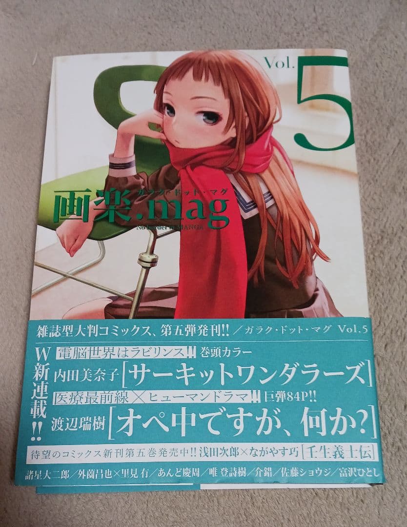 希少 画楽.mag(ドットマグ) 1号～7号 諸星大二郎 ながやす巧 庵野秀明