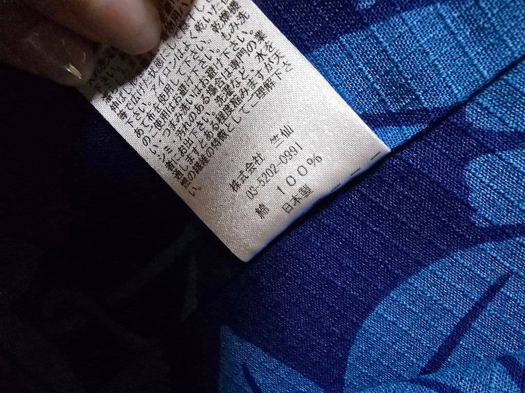 タイムセール!レア中のレア、日本橋竺仙綿紅梅、青い朝顔