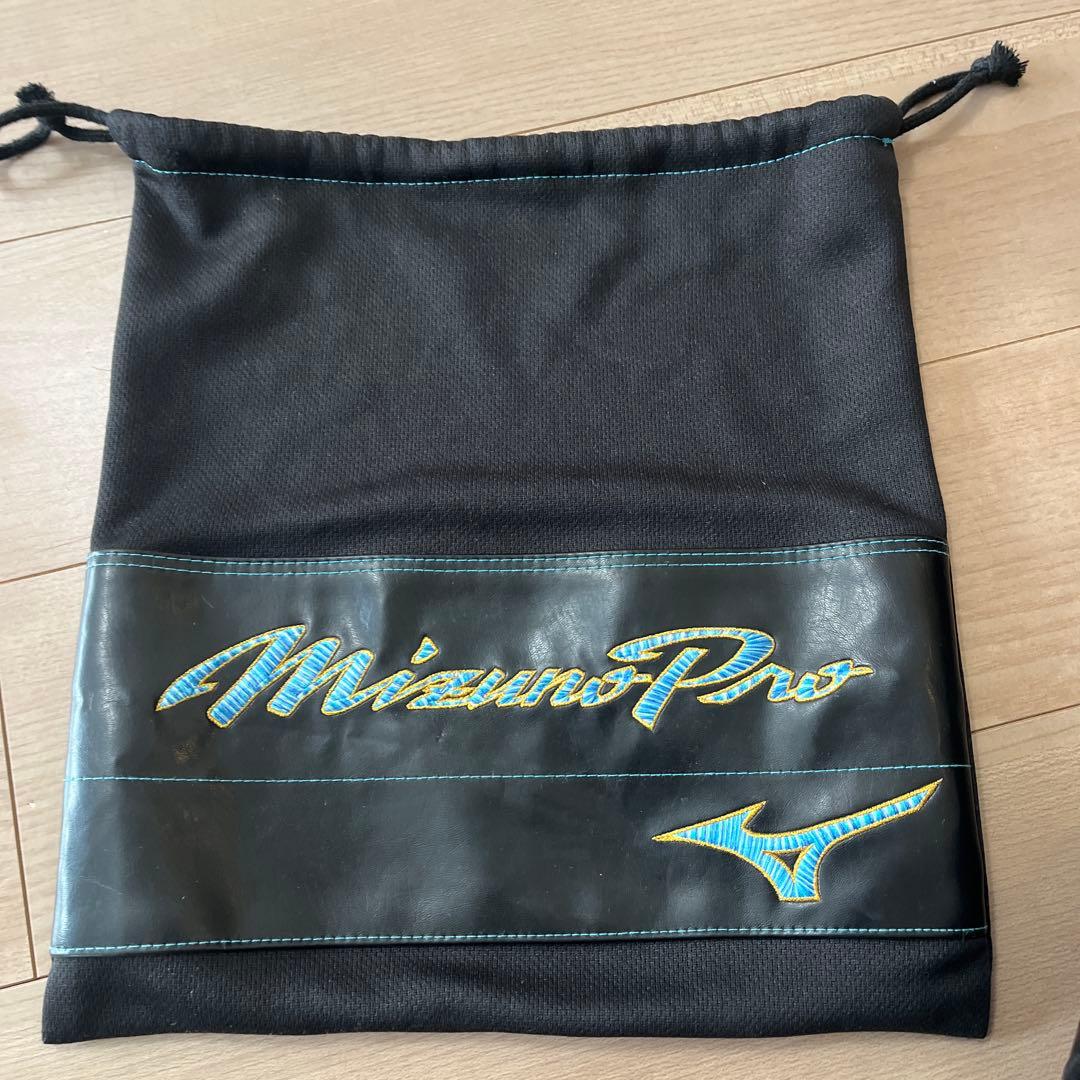 ミズノプロ　ダイバーシティー　ファーストミット　箱付き　硬式　限定