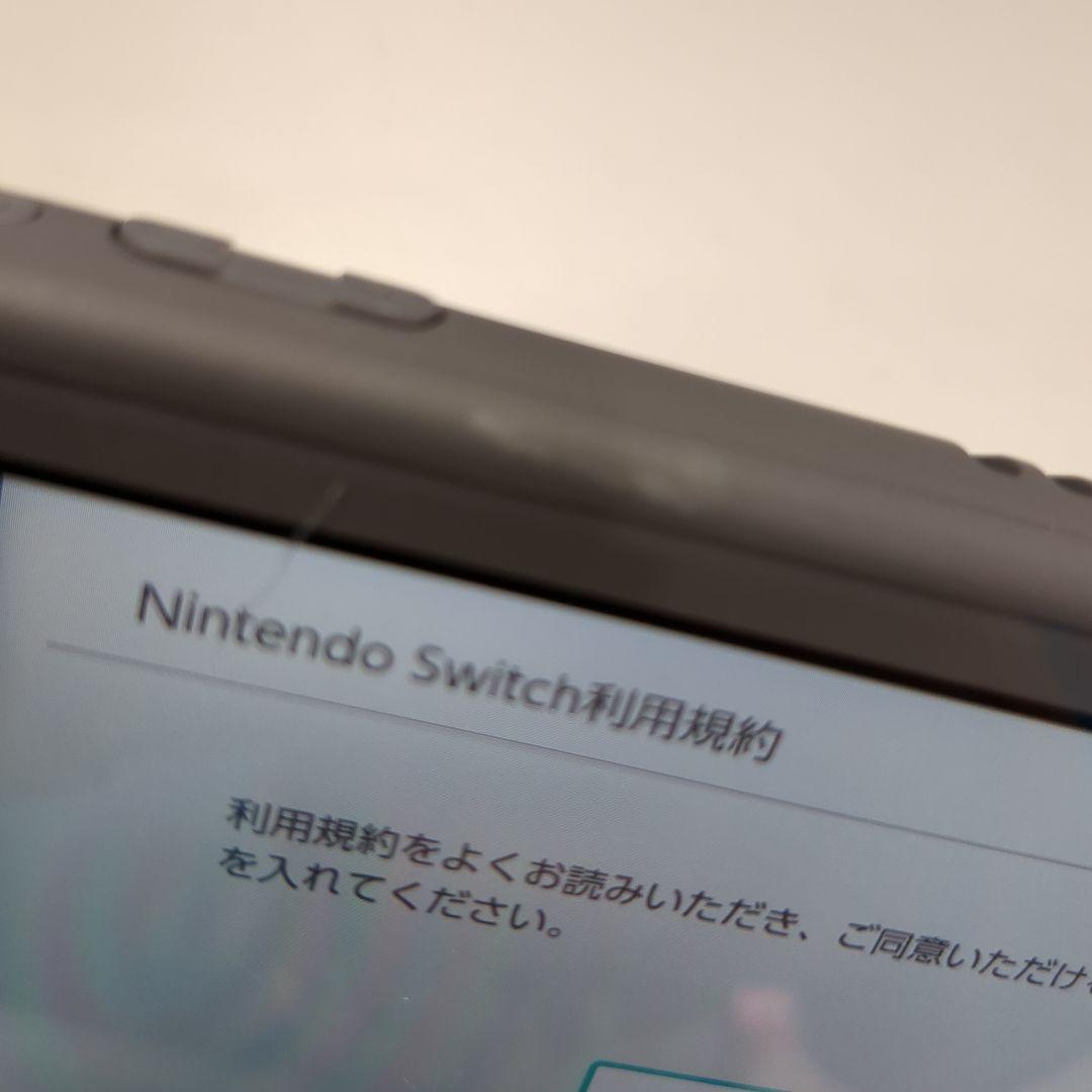Nintendo Switch Lite グレー 本体