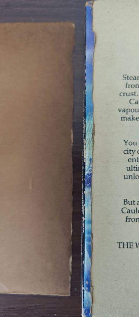 洋書 The Walls of Spyte ゲームブック