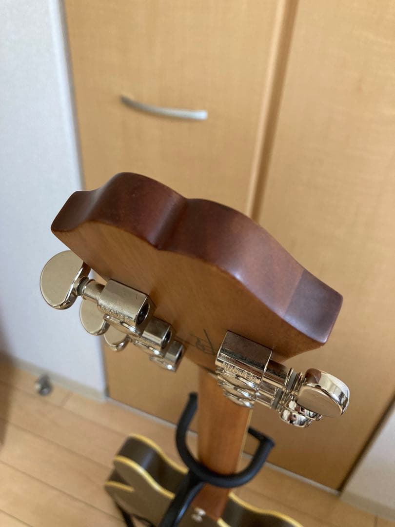 Epiphone Tom DeLongeシグネチャー エレキギター