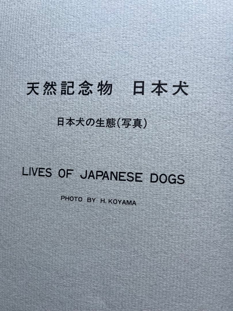 天然記念物　日本犬　（希少学術書）