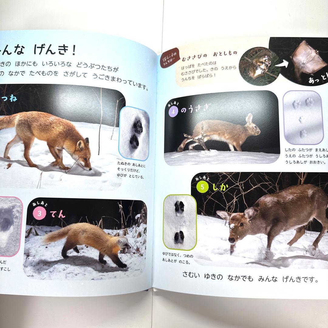 【2点購入150円引】キンダーブック しぜん くさきぞめ『2022年10月号』