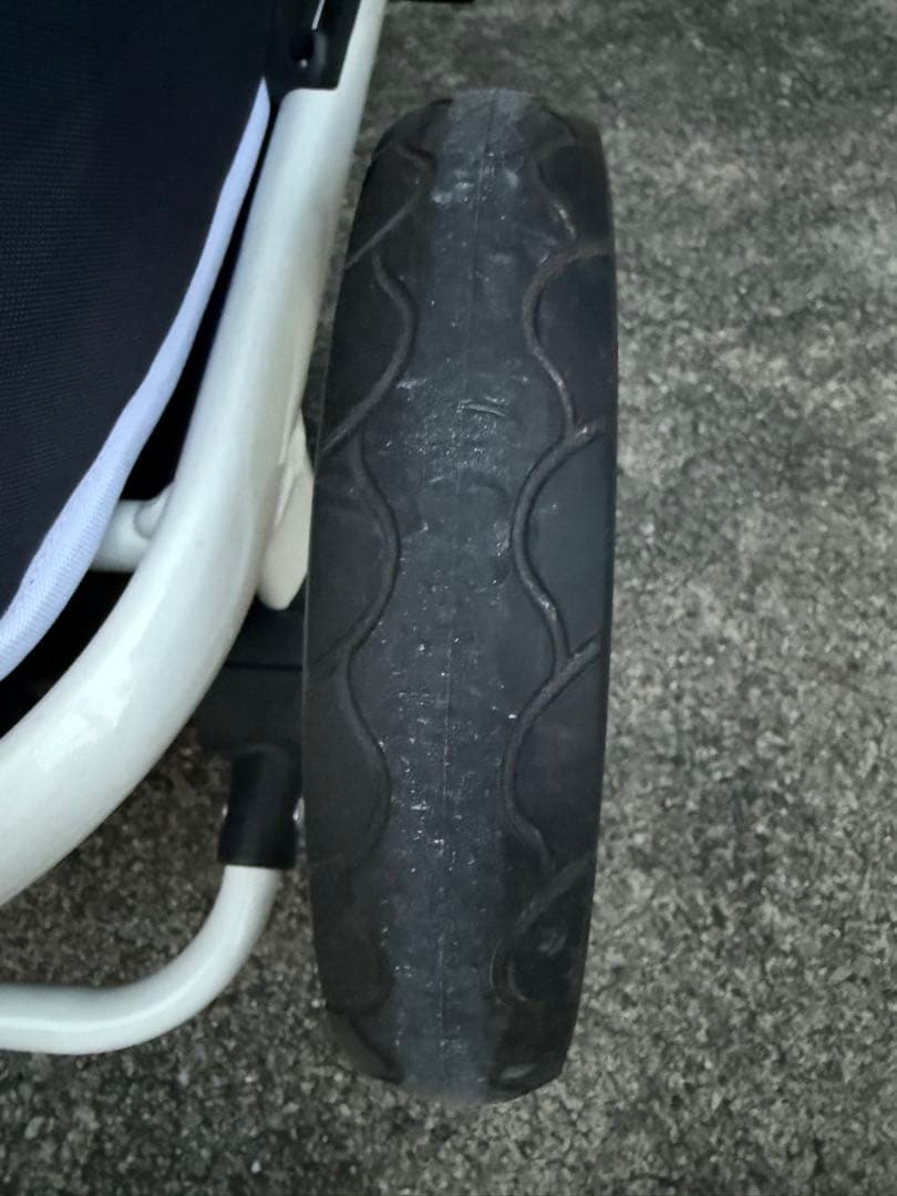 ちわぽめ　ピッコロカーネ　クレア