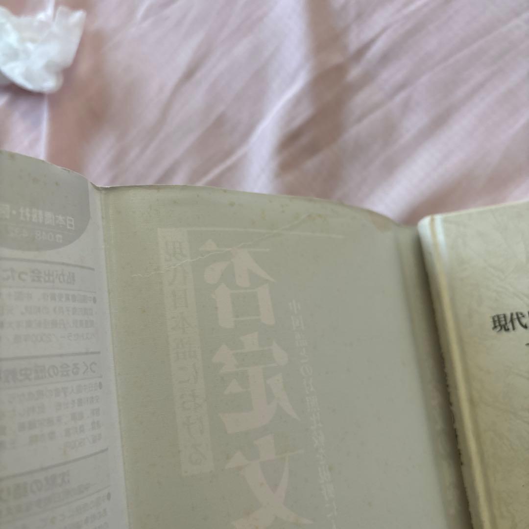 現代日本語における否定文の研究―中国語との対照比較を視野に入れて(帯付き)絶版本