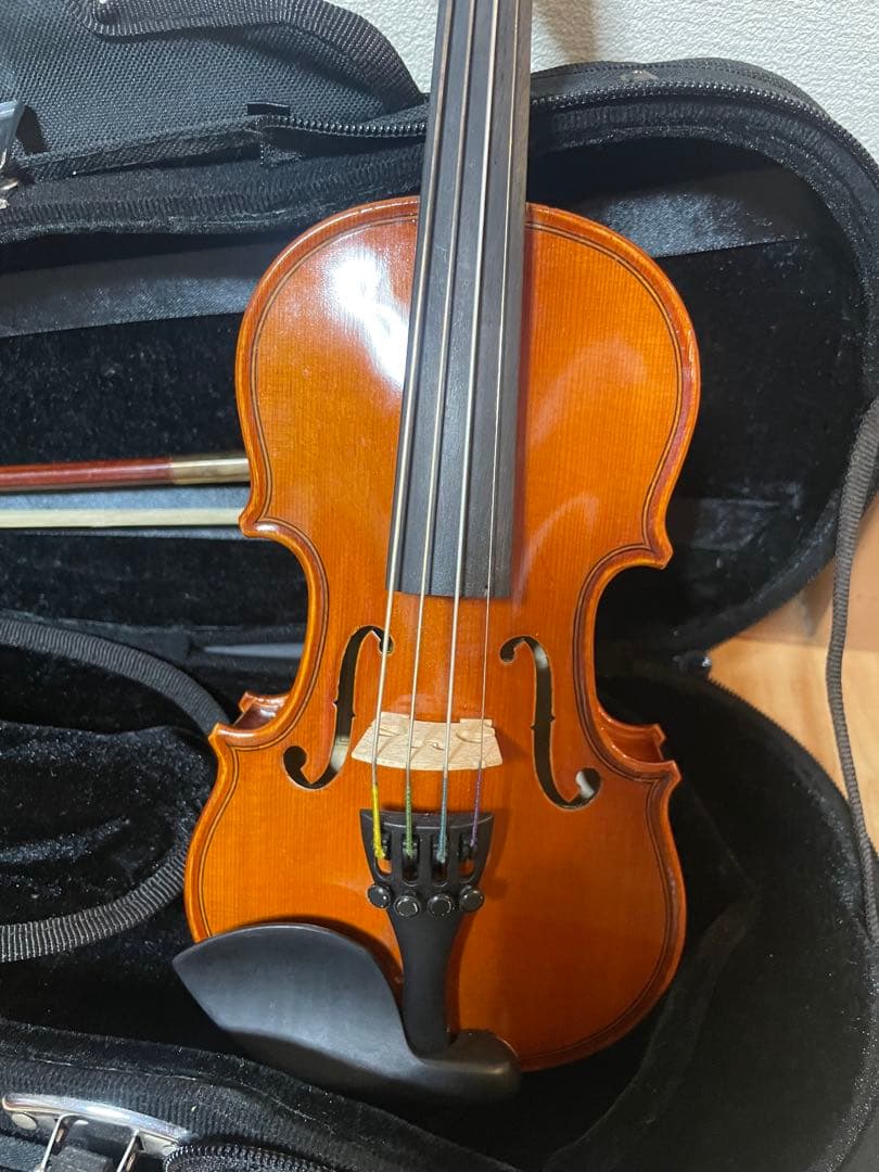 【極美品】バイオリン イーストマン VL80 1/16 2015年