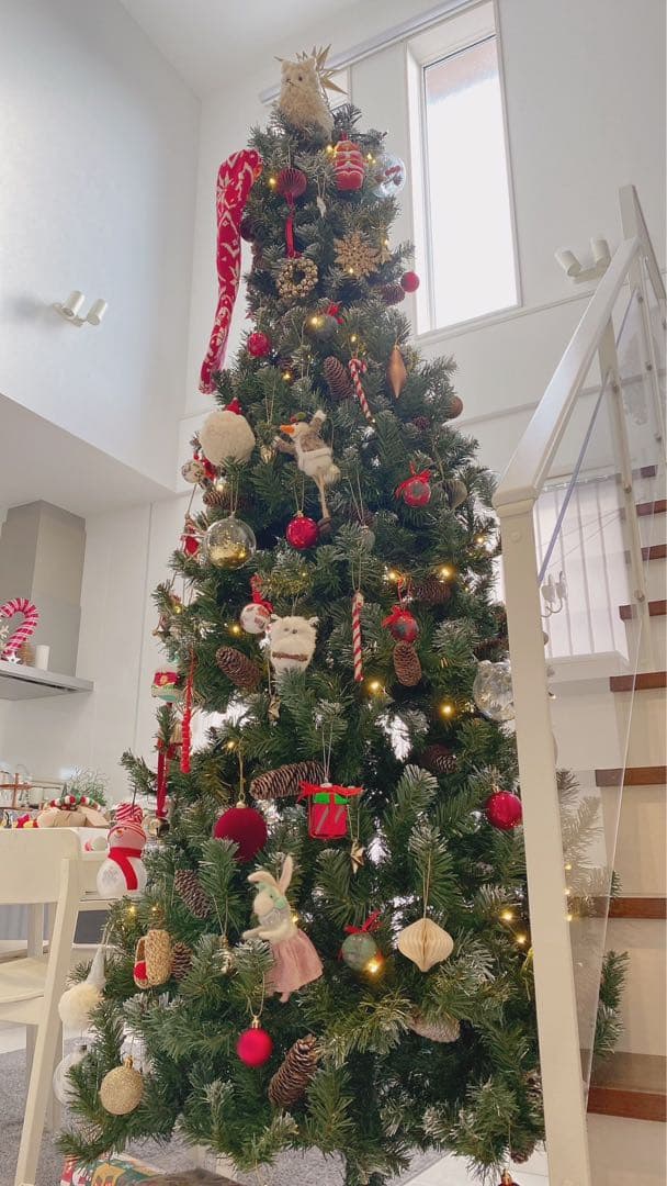 クリスマスツリー 北欧 おしゃれ ドイツトウヒツリー240cm ヌードツリー