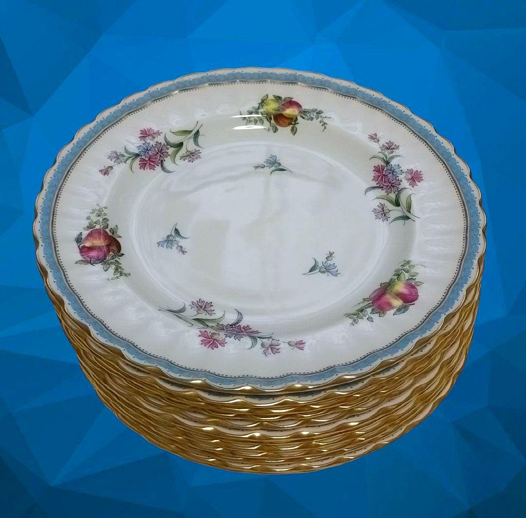 【スポード】廃盤品 中皿 12枚 トラップネルスプレイズ