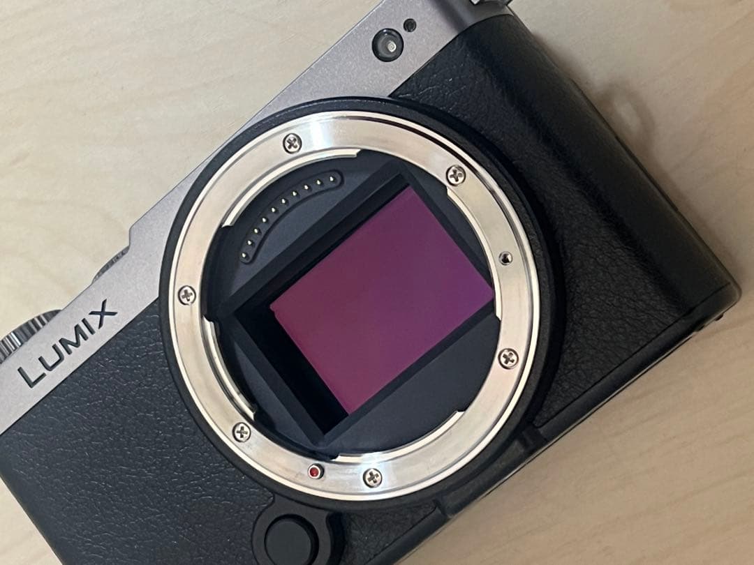 LUMIX DC-S9-S ボディ ダークシルバー パナソニック ルミックス