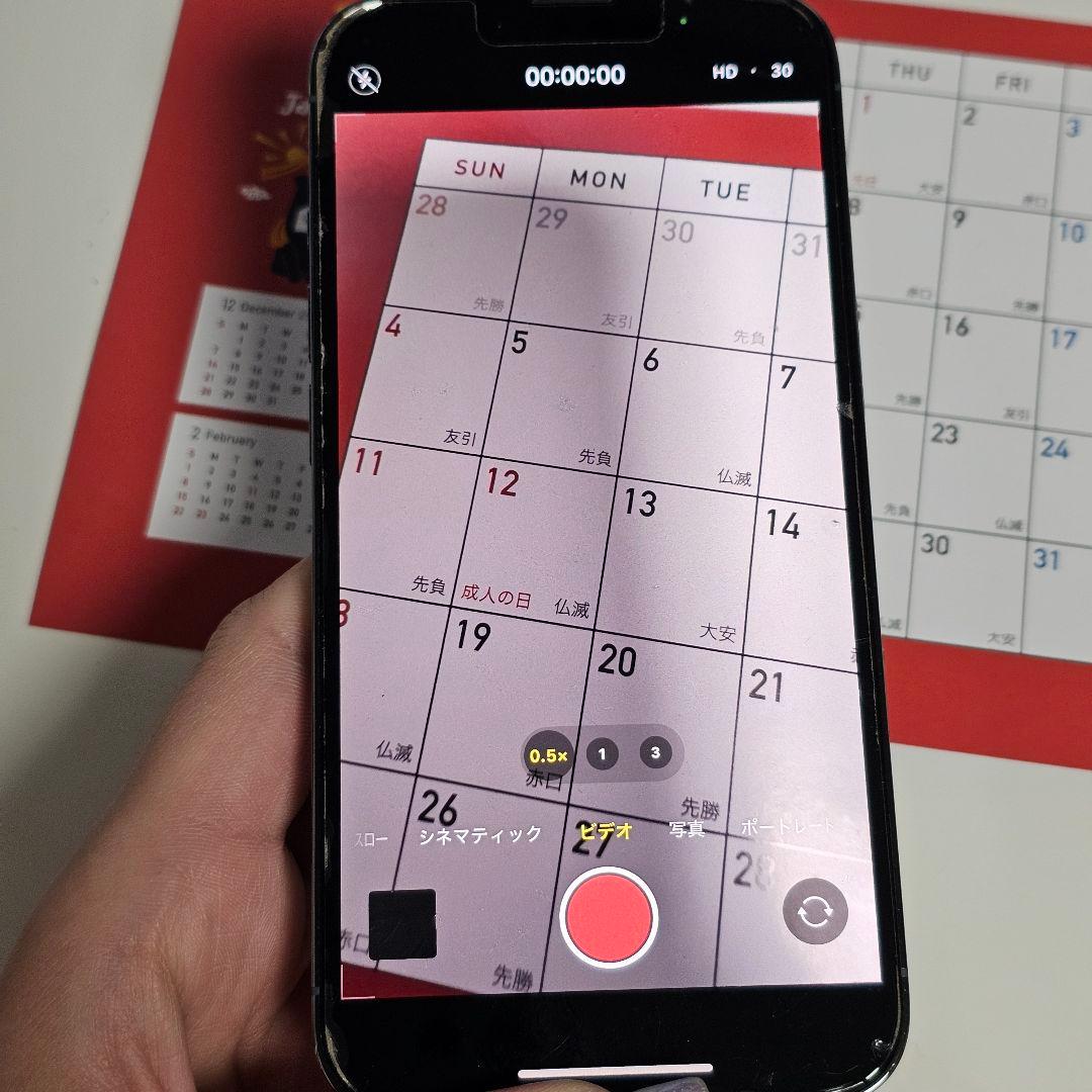 Apple iPhone 13 Pro シエラブルー 本体 256GB