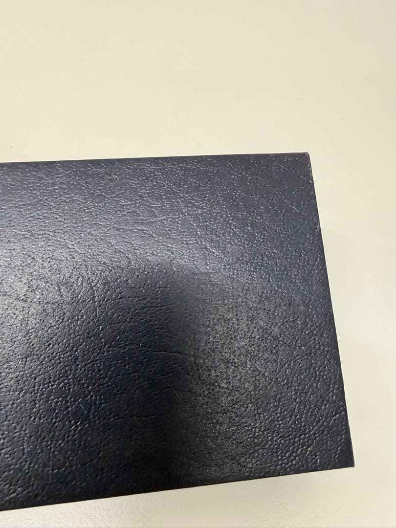 PLATINUM 14K万年筆 黒 ☆