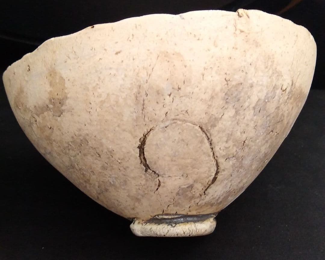 泉田之也　湯呑2点セット