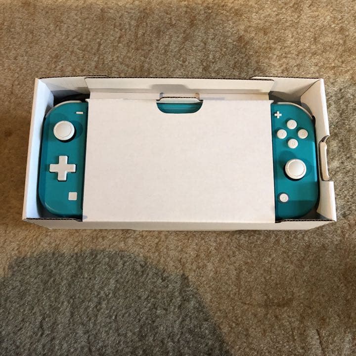 Nintendo Switch NINTENDO SWITCH LITE ター…