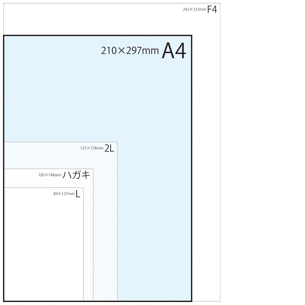 ブロッコリー様 ご依頼作品 インドサイの絵
