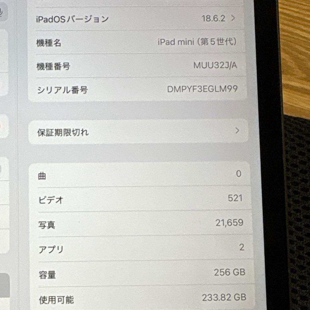 iPad mini 5 256GB wifiモデル