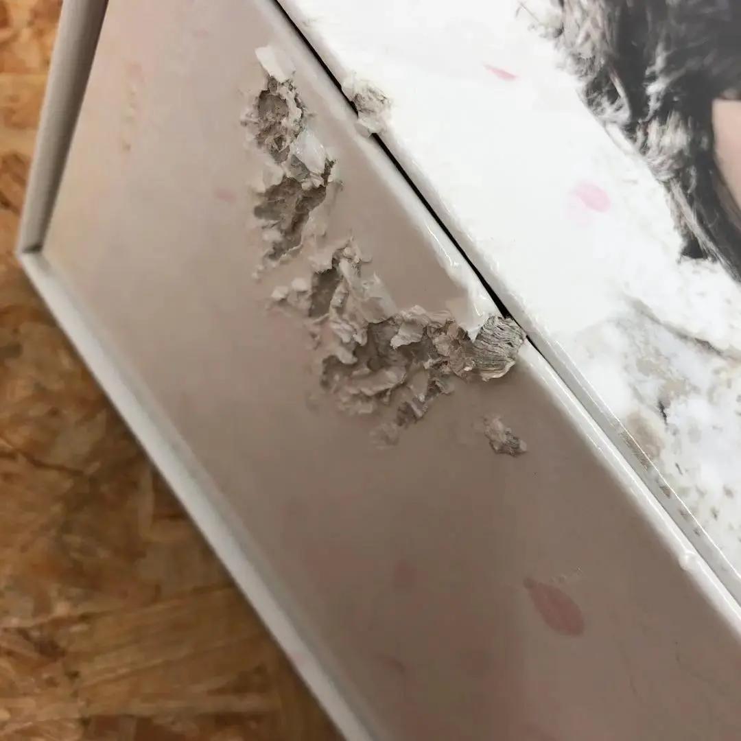 M2589 冬のサクラ 豪華版DVD-BOX ※箱にダメージあり