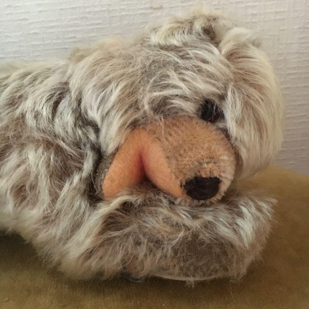 寝転び　ゾッティ