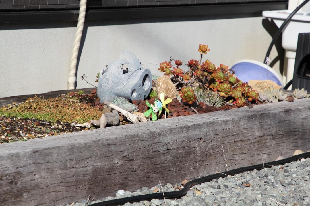 【ほぼ未使用品 箱付き】 Canon EF 24-105 F4 L IS II