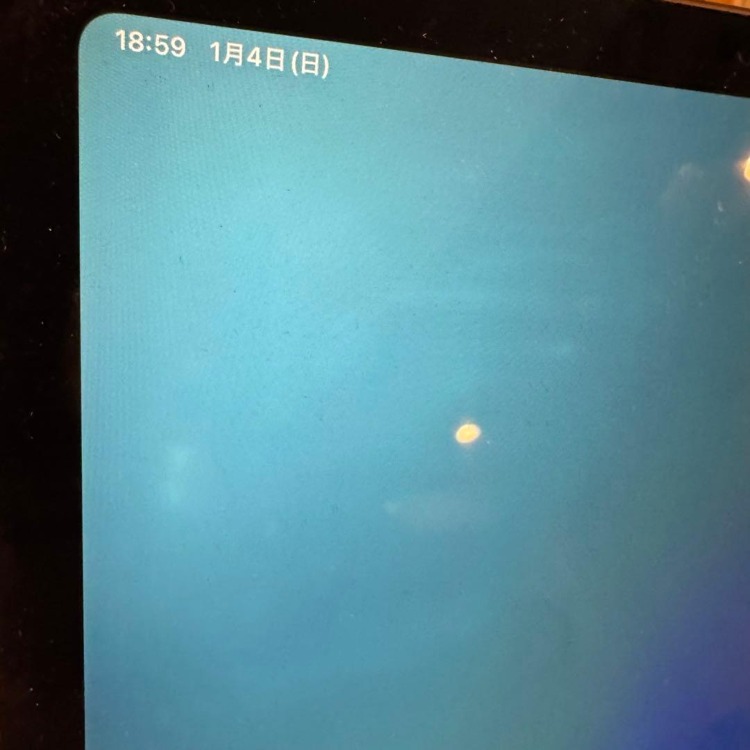 水没&画面不具合 iPad Pro 11インチ第1世代 256GBスペースグレー