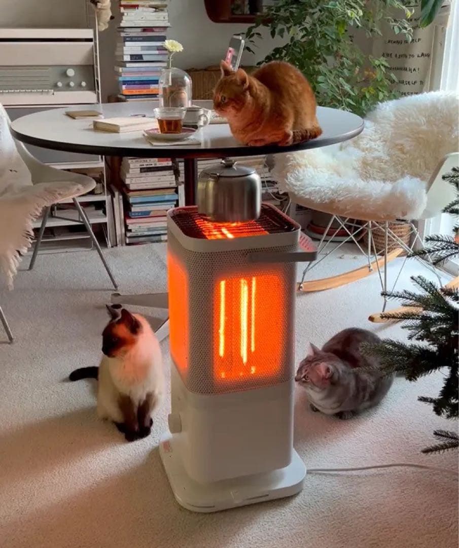 【引き取りor着払い 限定】edir 3Dサラウンドカーボンヒーター ほぼ未使用