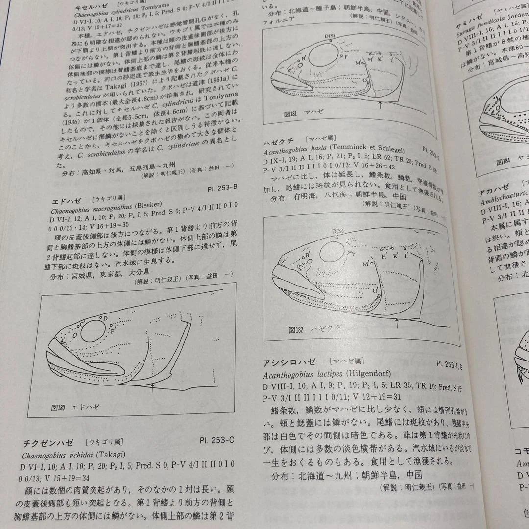 日本産魚類大図鑑 全2巻　東海大学出版会