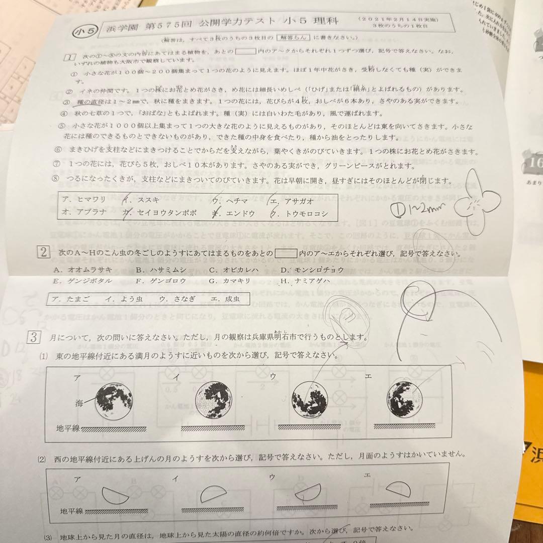 浜学園小5 最高レベル特訓１年分16冊フルセット解答解説付き&公開学力テスト4科