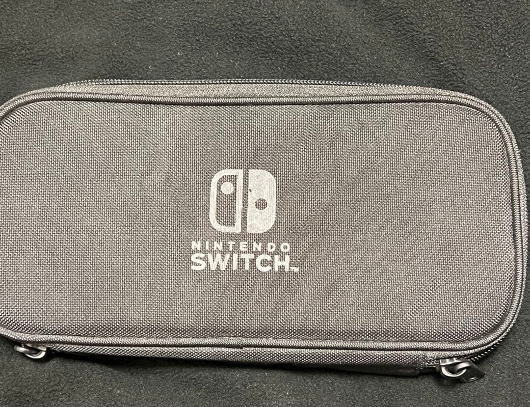 Switchライト　ターコイズ　本体とケースのみ