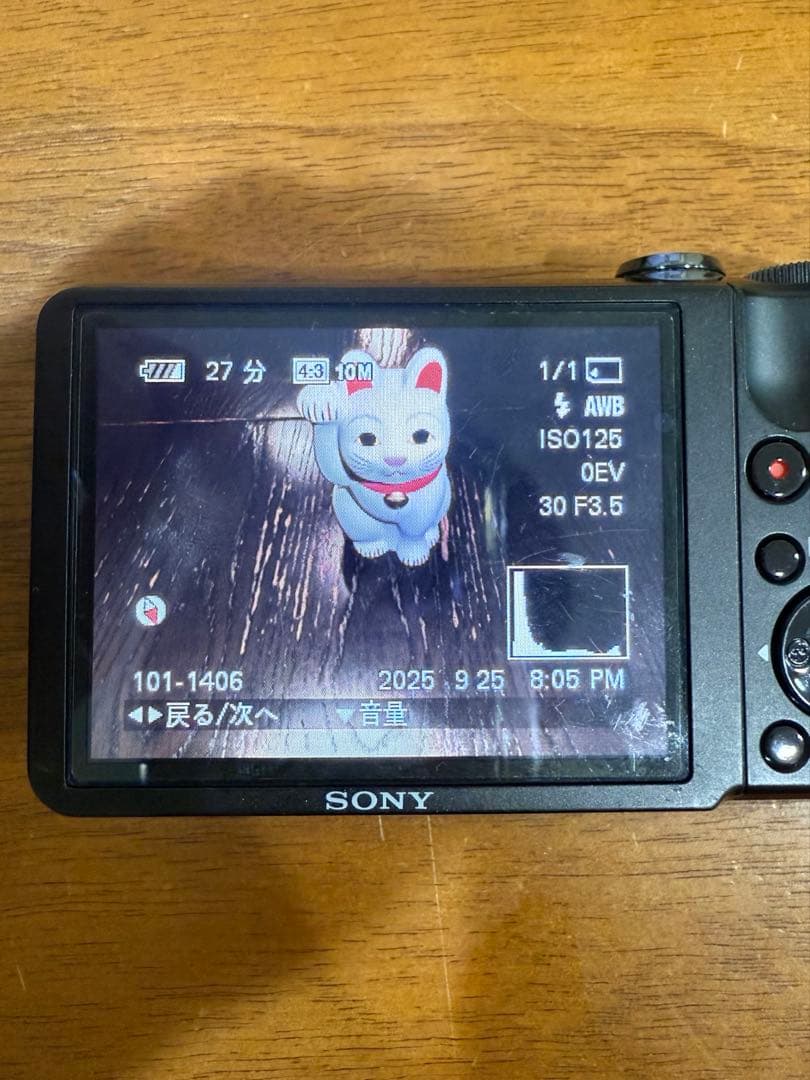 SONY DSC-HX5Vコンパクトデジタルカメラ10倍ズーム充電器付