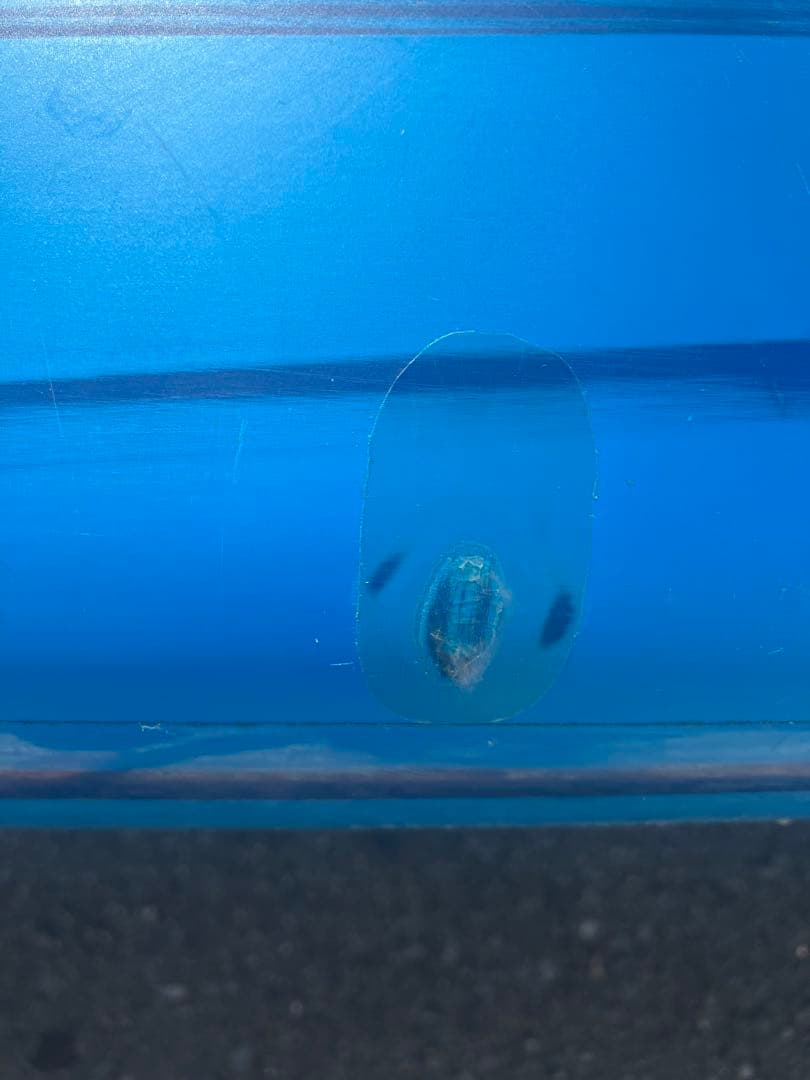 STARBOARD レースボード（12.6フィート　24インチ）