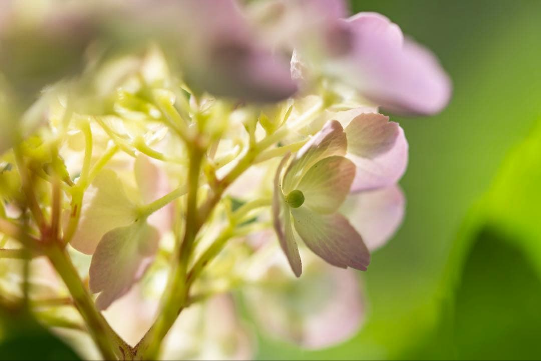 SONY α7R III ミラーレス一眼 本体　おまけに128GBメモリカード付