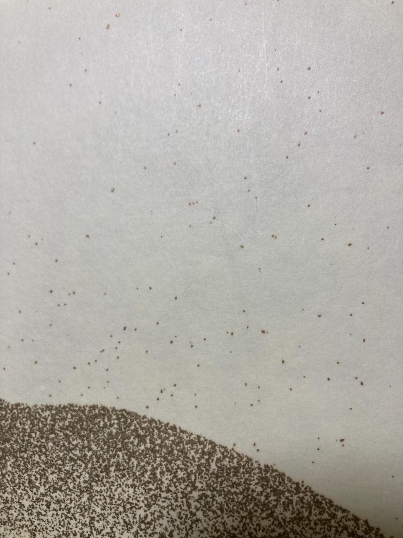 茶道具 桑枠 風炉先屏風 利休梅 裏遠山 両面使い