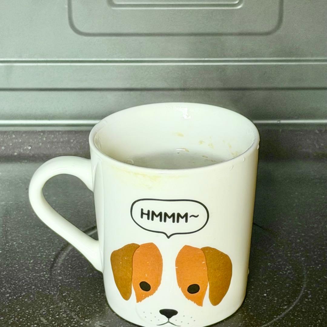 日立「MRO-F6B」オーブンレンジ 27Lワイド＆フラット庫内