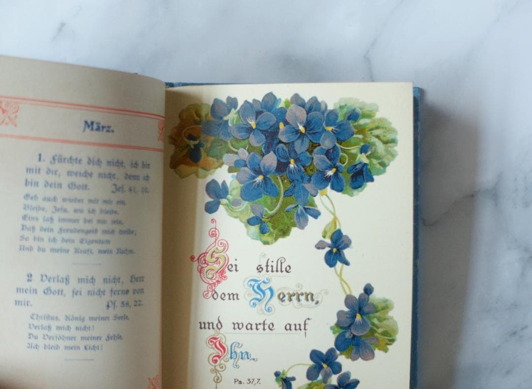 ドイツ 古書 アンティーク 勿忘草のメモリアルブック 青 洋書 希少 レア
