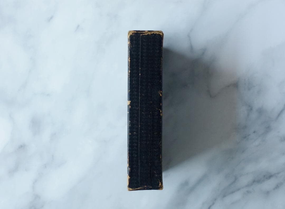 ドイツ 古書 アンティーク 勿忘草のメモリアルブック 青 洋書 希少 レア