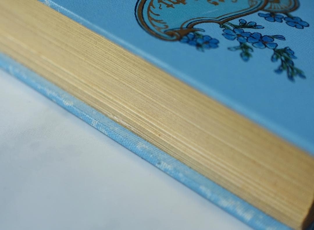 ドイツ 古書 アンティーク 勿忘草のメモリアルブック 青 洋書 希少 レア