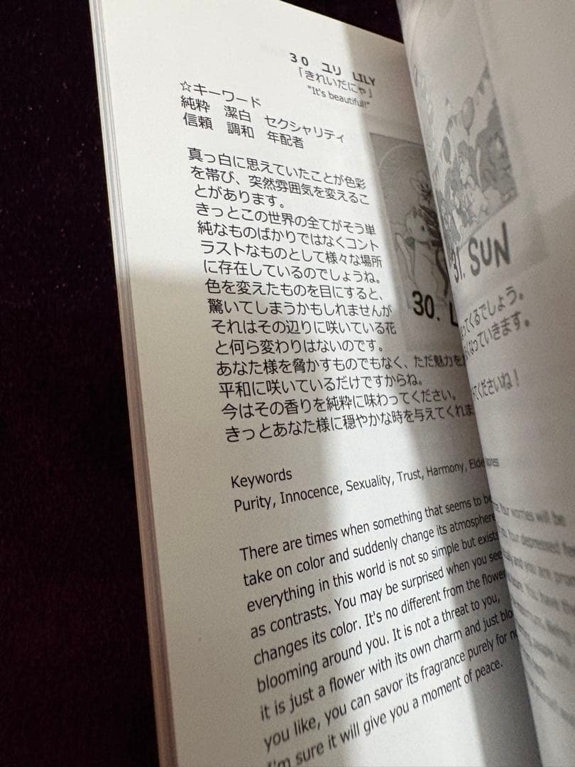 いちばんていねいなルノルマンカード占い　カードセット