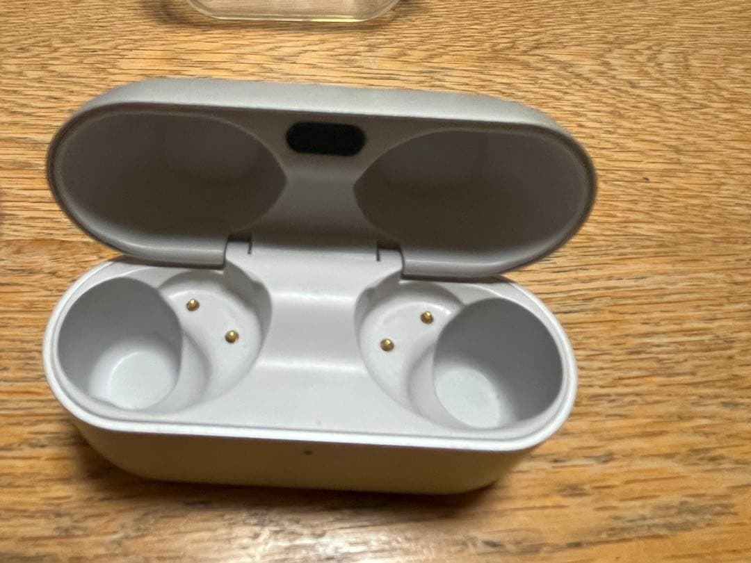 程度良し　おまけ付き　Technics EAH-AZ100 シルバー