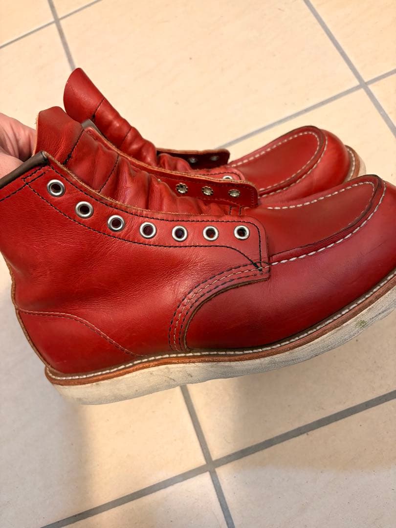 レッドウイング　犬タグ　8875 E 26センチ